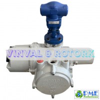 Van Cầu Điện API VINVAL